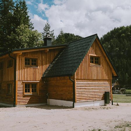 Naturparkresort S'Keuscherl Wildalpen Exterior foto